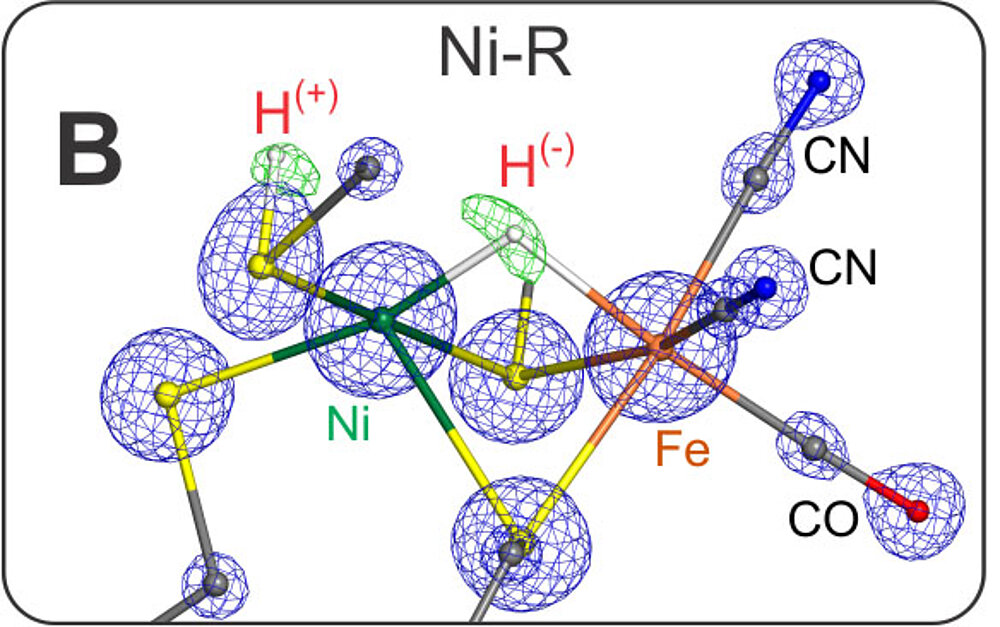 Figure 3 (B)