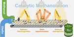 Schematische Darstellung der katalytischen Umwandlung von Methanol und Olefinen zu langkettigen Alkoholen: Ein dreistufiger Prozess mit zwei Organometall-Katalysatoren (Mangan- und Rhodium-Komplex), der eine effiziente und nachhaltige Produktion ermöglicht.