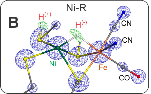 Figure 3 (B)